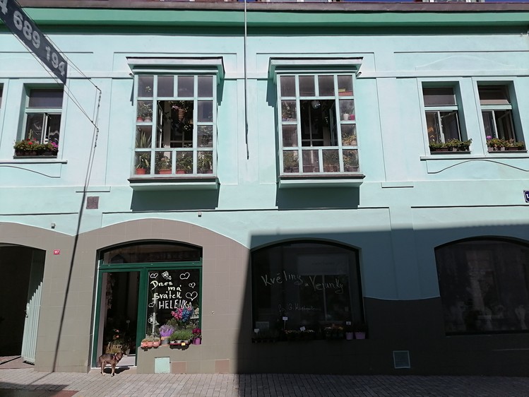 Prodej komerčního prostoru, 434 m² (2 z 21)