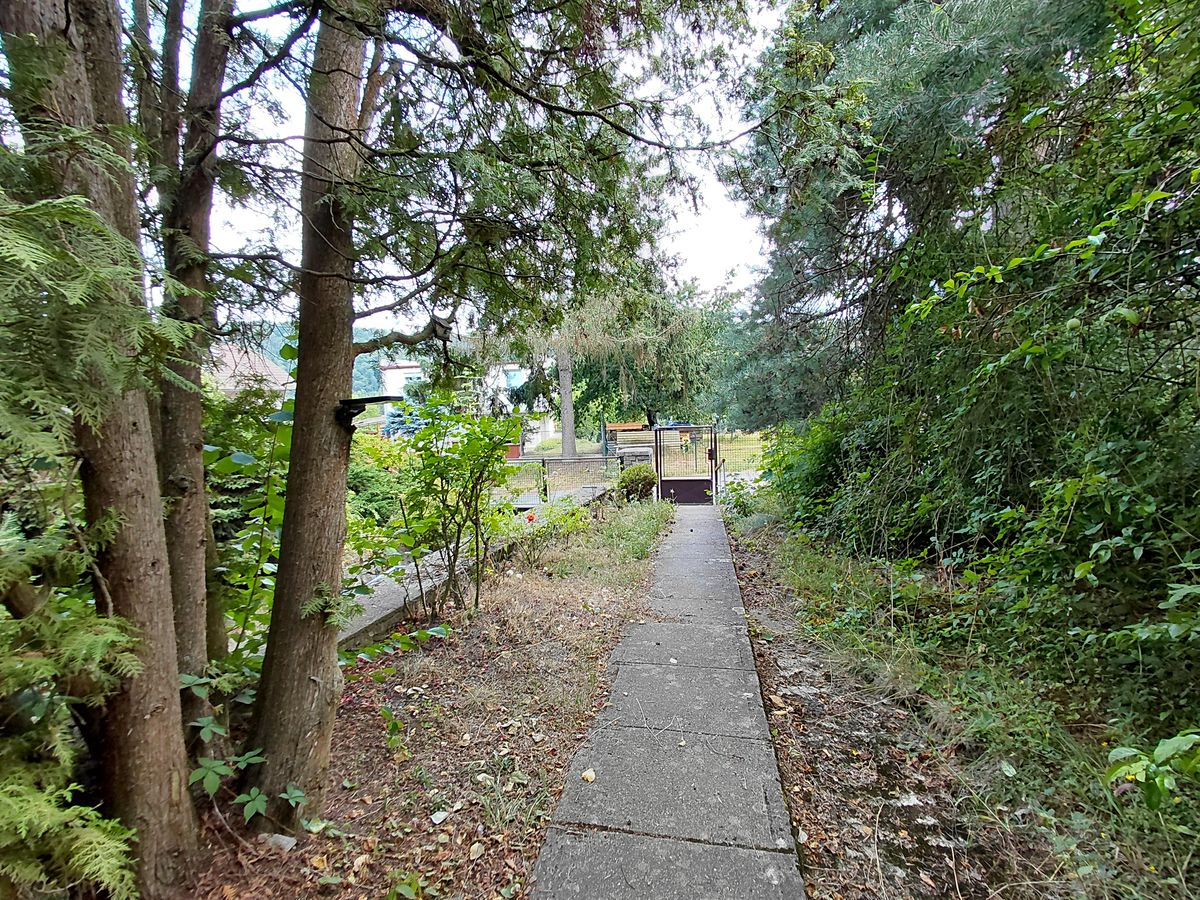 Prodej rodinného domu 127 m², pozemek 1353 m² – fotografie 3