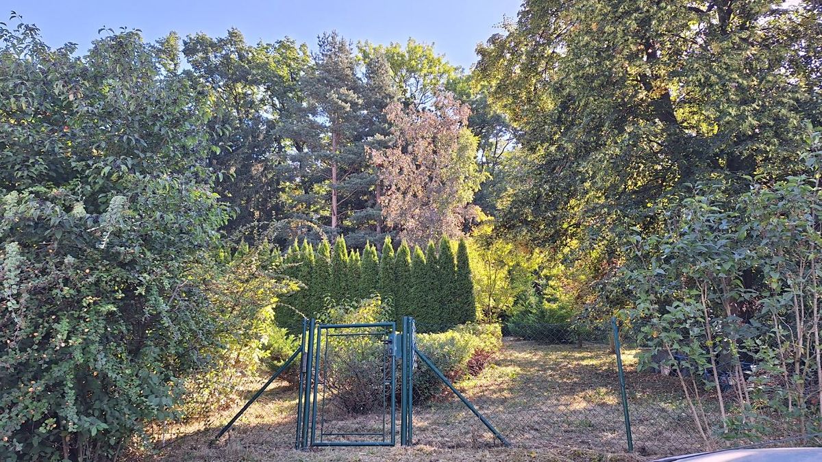 Prodej chaty 30 m², pozemek 1127 m² – fotografie 2
