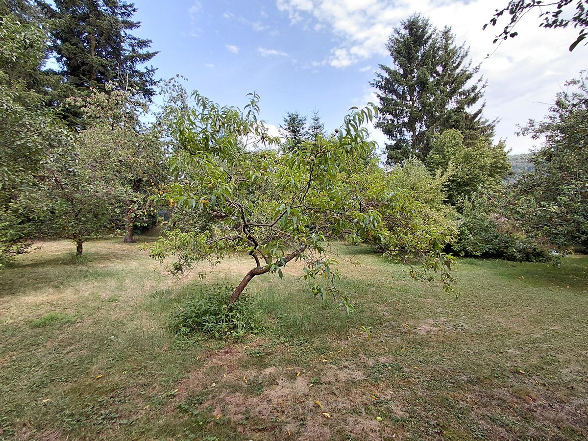 Prodej rodinného domu 127 m², pozemek 1353 m² – fotografie 5