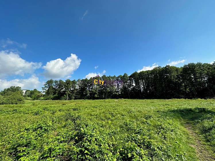 Grundstück zum Kauf, 8.756 m² (2 von 8)