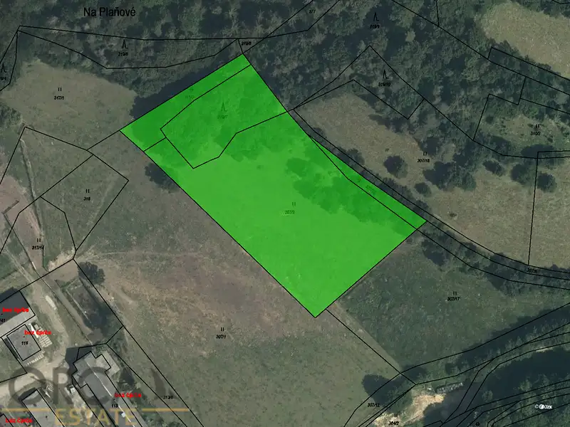 Prodej louky 8481 m², Zábřeh – náhled fotky 1