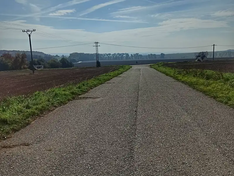Prodej stavebního pozemku 1383 m², Bohdalice-Pavlovice – náhled fotky 3