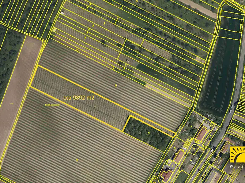 Prodej sadu, vinice 9892 m², Svatobořice-Mistřín – náhled fotky 1