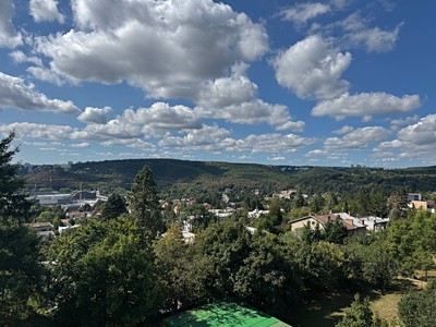 Prodej bytu 3+1 79 m²