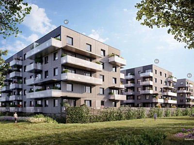 Prodej bytu 2+kk 55 m² (Jednopodlažní)