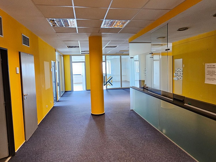 Gewerbefläche zur Miete, 555 m² (3 von 25)