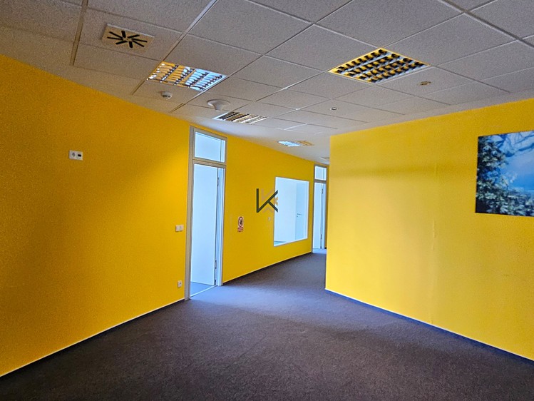 Gewerbefläche zur Miete, 555 m² (11 von 25)