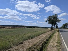 Prodej  pole 19 954 m²