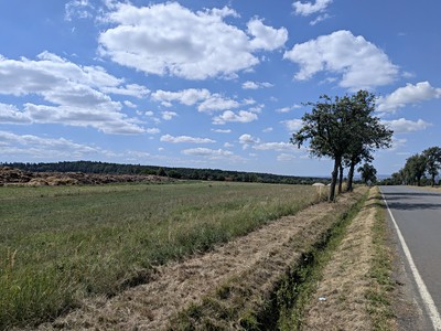 Prodej  pole 19 954 m²