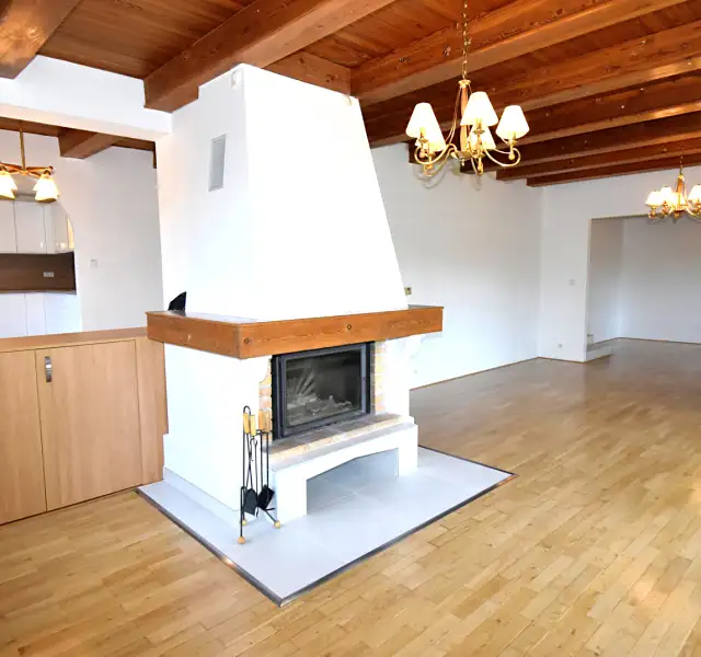 Pronájem rodinného domu 350 m², pozemek 779 m², Průhonice – náhled fotky 2
