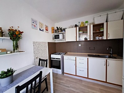 Prodej bytu 3+1 55 m²