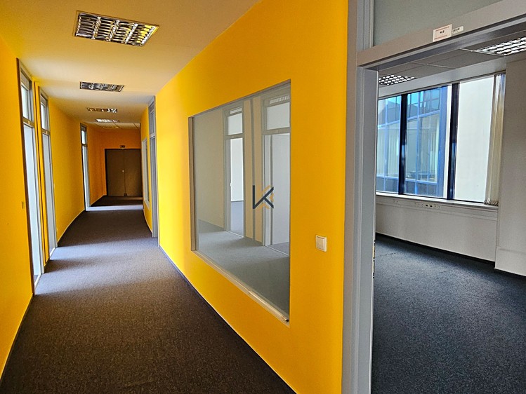 Gewerbefläche zur Miete, 555 m² (2 von 25)