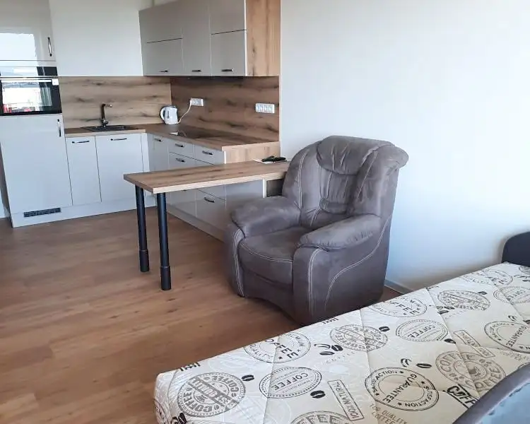 Pronájem bytu 1+kk 31 m², Olomouc – náhled fotky 2