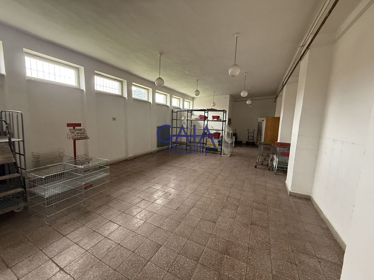 Prodej obchodního prostoru 268 m² – fotografie 4