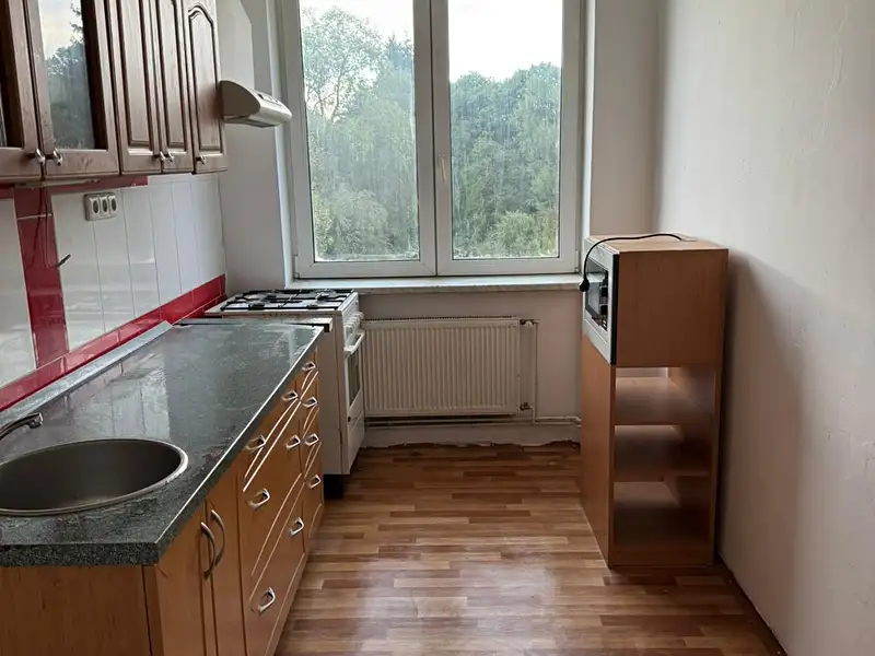 Pronájem bytu 3+1 73 m², Nová Ves – náhled fotky 1