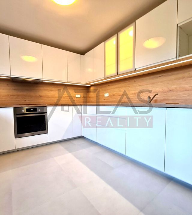 Pronájem rodinného domu 300 m², pozemek 750 m² – fotografie 3