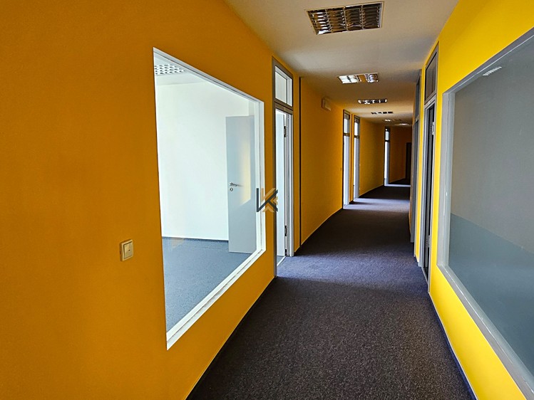 Gewerbefläche zur Miete, 555 m² (12 von 25)