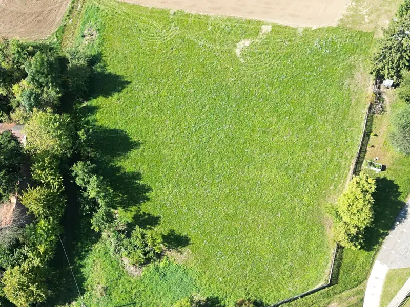 Prodej stavebního pozemku 5151 m², Markvartice – náhled fotky 2