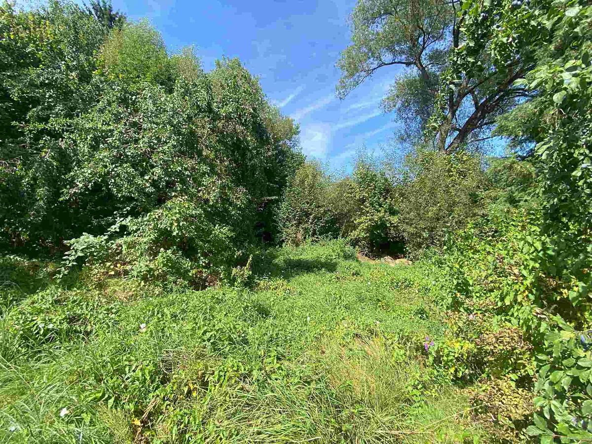 Prodej stavebního pozemku 2842 m² – fotografie 2