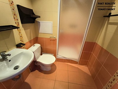 Pronájem bytu 1+kk 25 m² (Jednopodlažní)