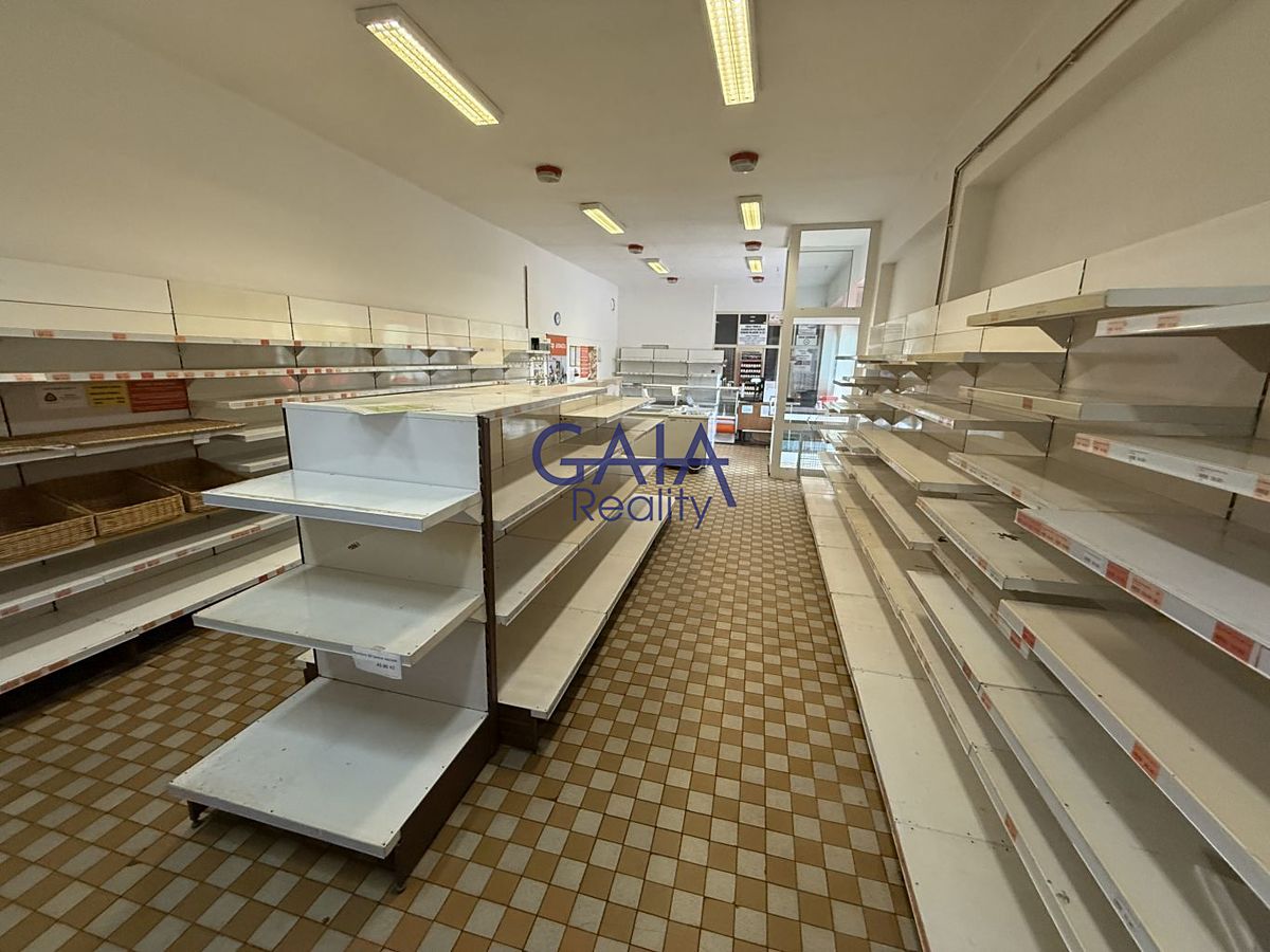 Prodej obchodního prostoru 268 m² – fotografie 3