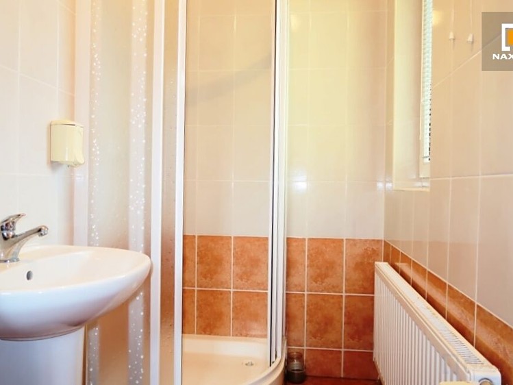 Pronájem komerčního prostoru, 45 m² (5 z 6)