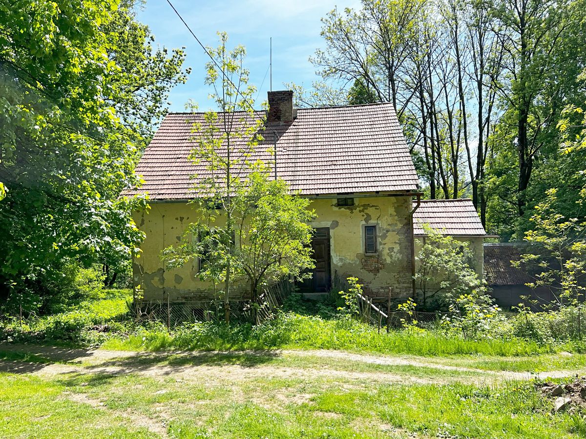 Prodej rodinného domu 109 m², pozemek 4779 m² – fotografie 5