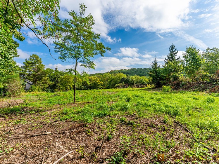 Prodej pozemku, 794 m² (6 z 14)