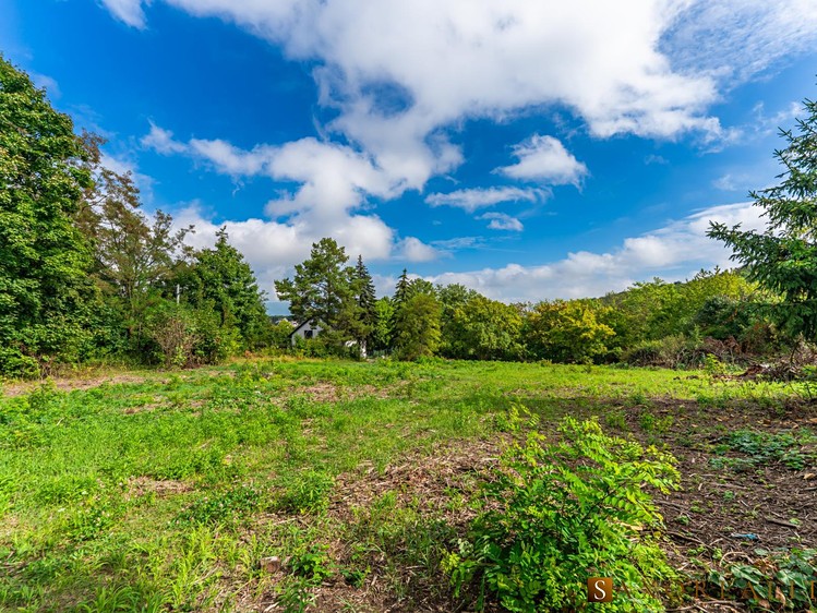 Grundstück zum Kauf, 790 m² (7 von 14)