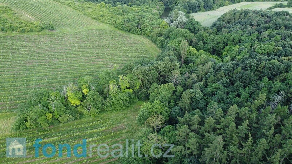 Prodej pozemku 4351 m² – fotografie 2