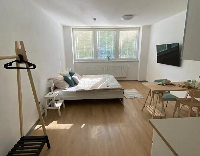 Pronájem bytu 1+kk 35 m², Třeboň – náhled fotky 1