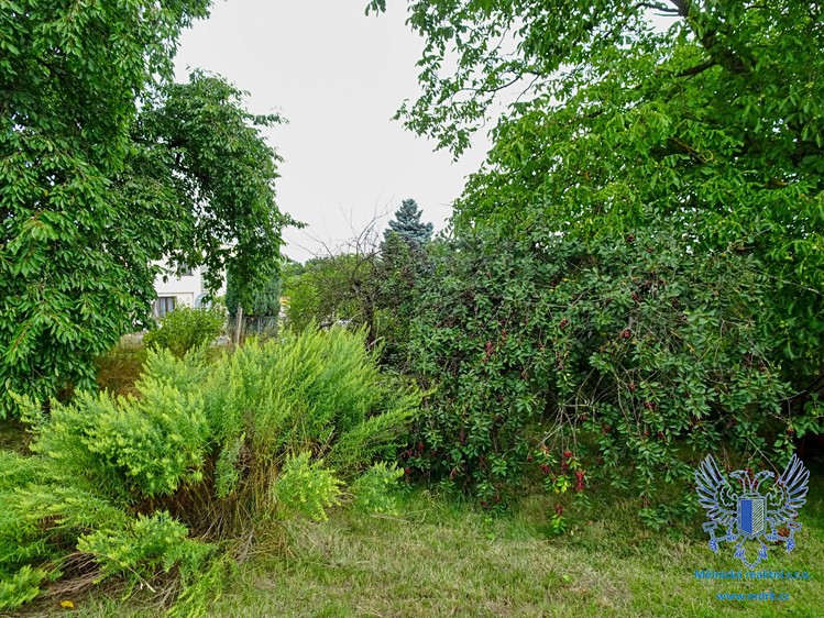 Prodej pozemku, 1 170 m² (17 z 24)