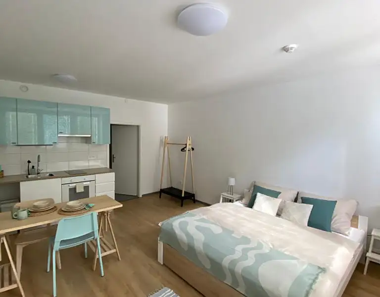 Pronájem bytu 1+kk 35 m², Třeboň – náhled fotky 2