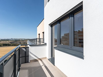 Pronájem bytu 1+kk 30 m² (Jednopodlažní)