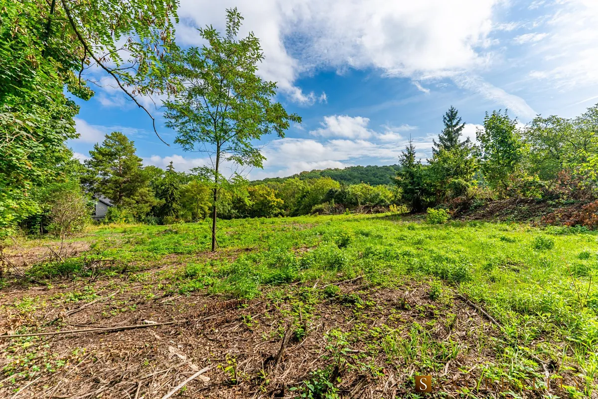 Fotka 6 z 14