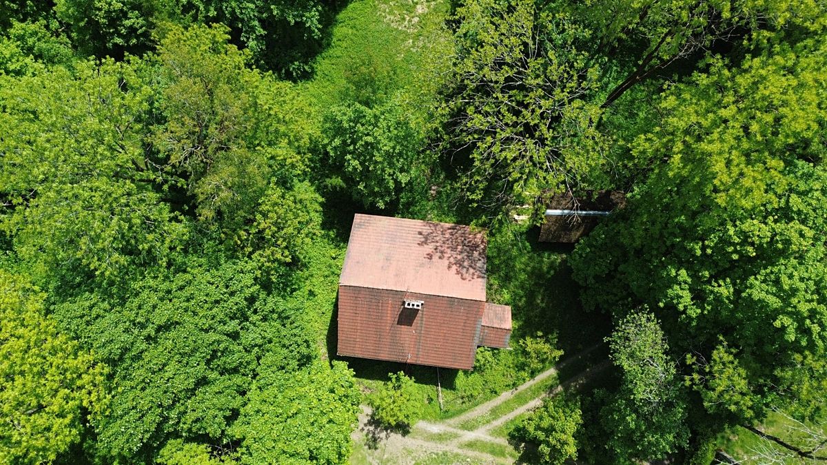 Prodej rodinného domu 109 m², pozemek 4779 m² – fotografie 4