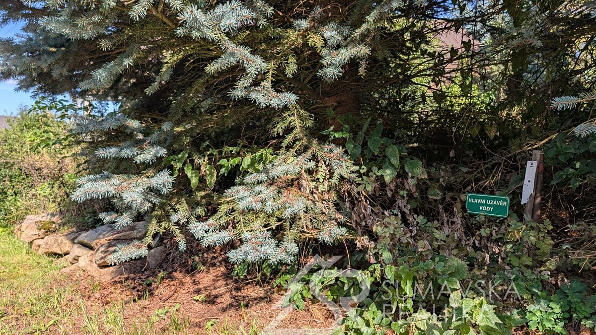 Prodej zemědělské usedlosti 100 m², pozemek 396 m² – fotografie 2