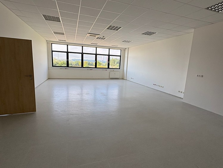 Gewerbefläche zur Miete, 300 m² (2 von 17)