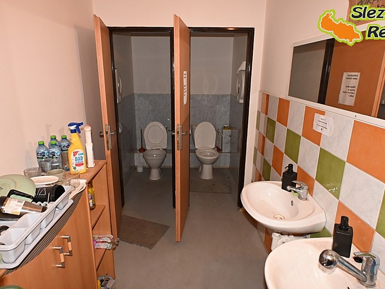 Pronájem komerčního prostoru, 907 m² (20 z 24)