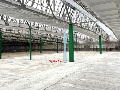 Pronájem komerčního prostoru, 2 200 m² (2 z 20)