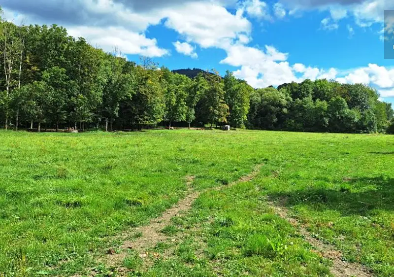 Prodej stavebního pozemku 1633 m², Vyšní Lhoty – náhled fotky 1