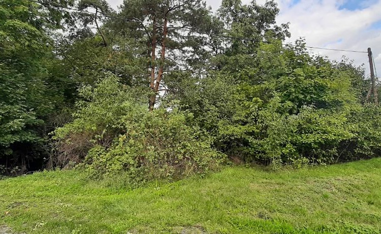 Grundstück zum Kauf, 576 m² (6 von 8)