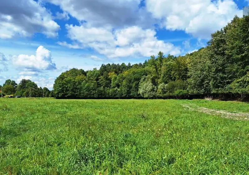 Prodej stavebního pozemku 1899 m², Vyšní Lhoty – náhled fotky 3