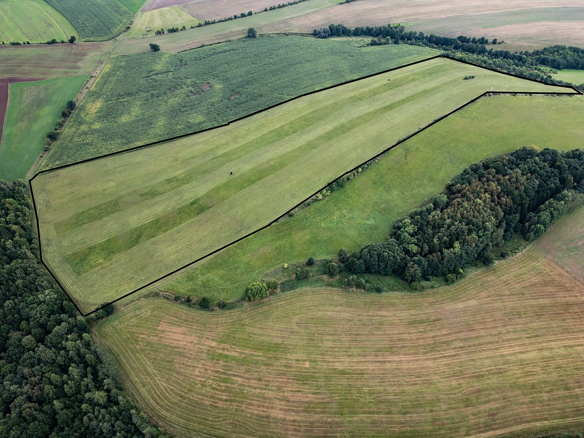 Prodej pole 88263 m² – fotografie 3