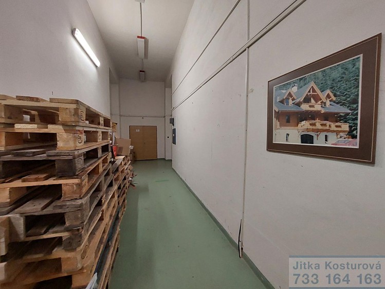 Pronájem komerčního prostoru, 100 m² (6 z 15)