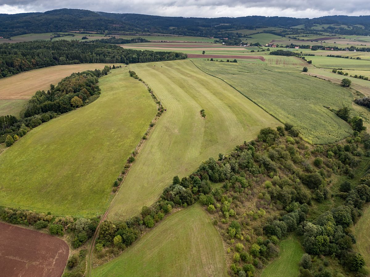 Prodej pole 88263 m²