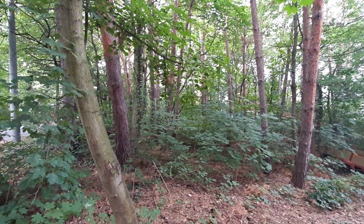 Grundstück zum Kauf, 576 m² (2 von 8)