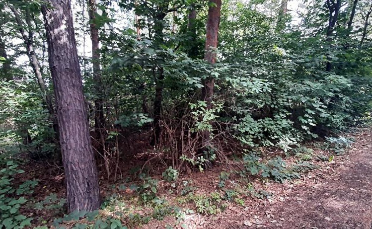 Grundstück zum Kauf, 576 m² (5 von 8)
