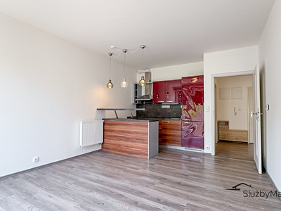 Prodej bytu 2+kk 43 m² (Jednopodlažní)